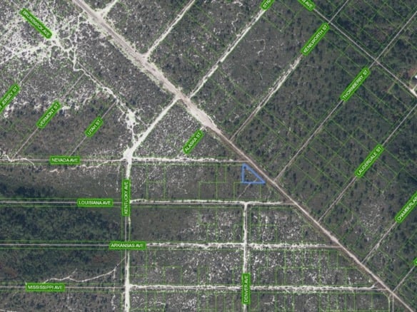 536 Nevada Avenue, Lake Placid FL 33852 — #A11696495