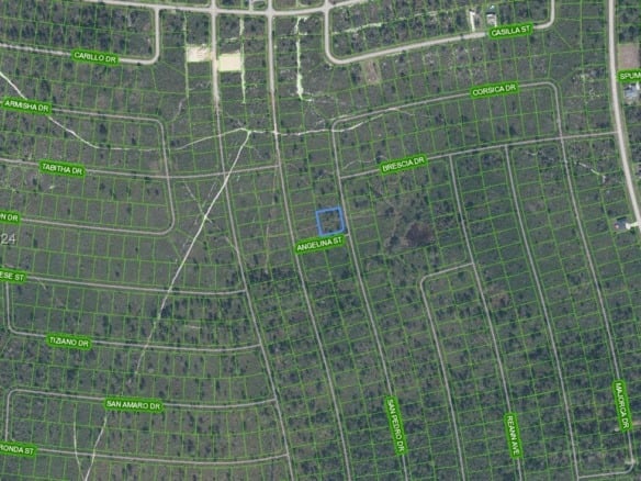 4703 San Pedro Drive, Sebring FL 33872 — #A11713547