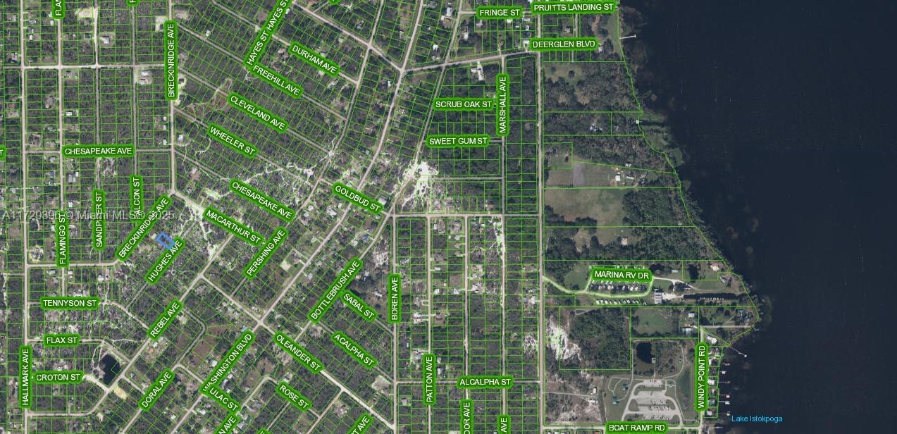 6dd28e9b-4081 1066 Hughes Avenue, Lake Placid FL 33852 — #A11729396