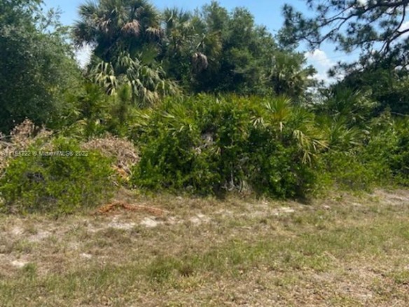 5029 SE TradeWinds Cir, La Belle FL 33935 — #A11194222