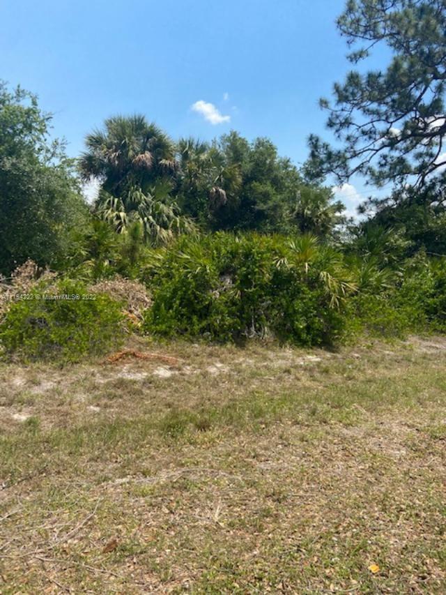 6dd28e9b-432 5029 SE TradeWinds Cir, La Belle FL 33935 — #A11194222