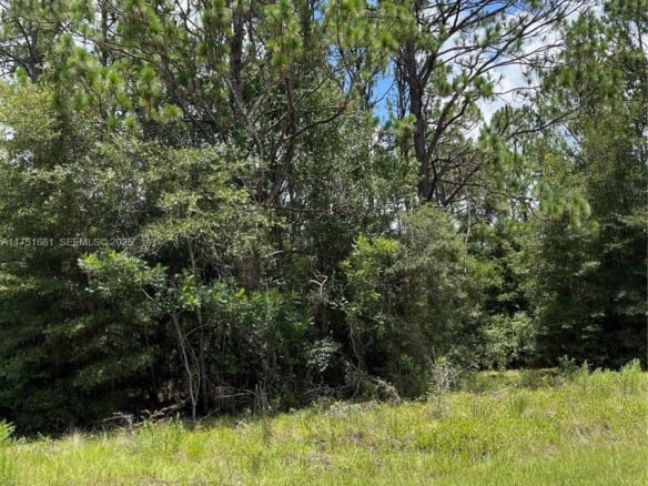 tbd SW 59th LN, Other City – In The State Of Florida FL 34431 — #A11751681