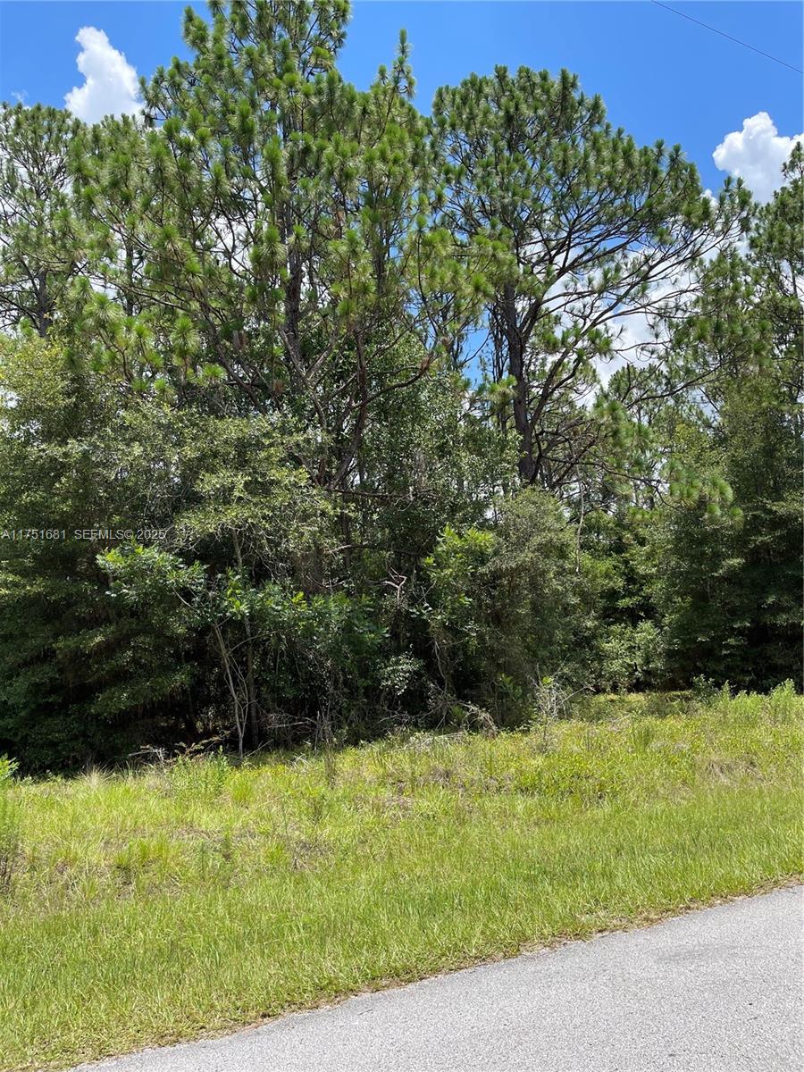 tbd SW 59th LN, Other City – In The State Of Florida FL 34431 — #A11751681