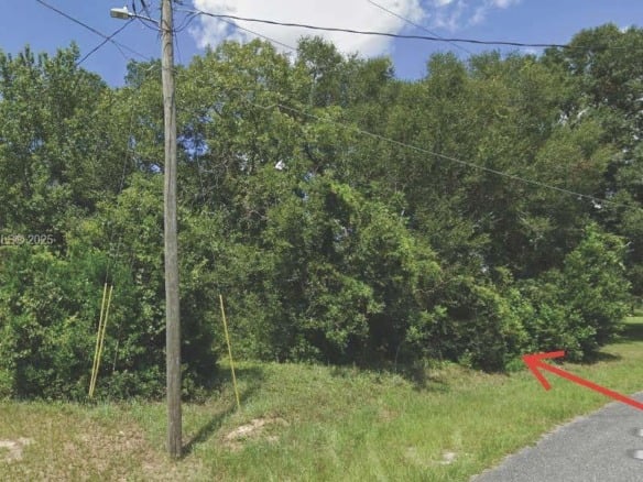 XX PECAN DRIVE TRCE, Ocala FL 34472 — #A11757061