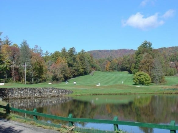 Lot 66 Juniper Court, NC 28774 — #A11785981