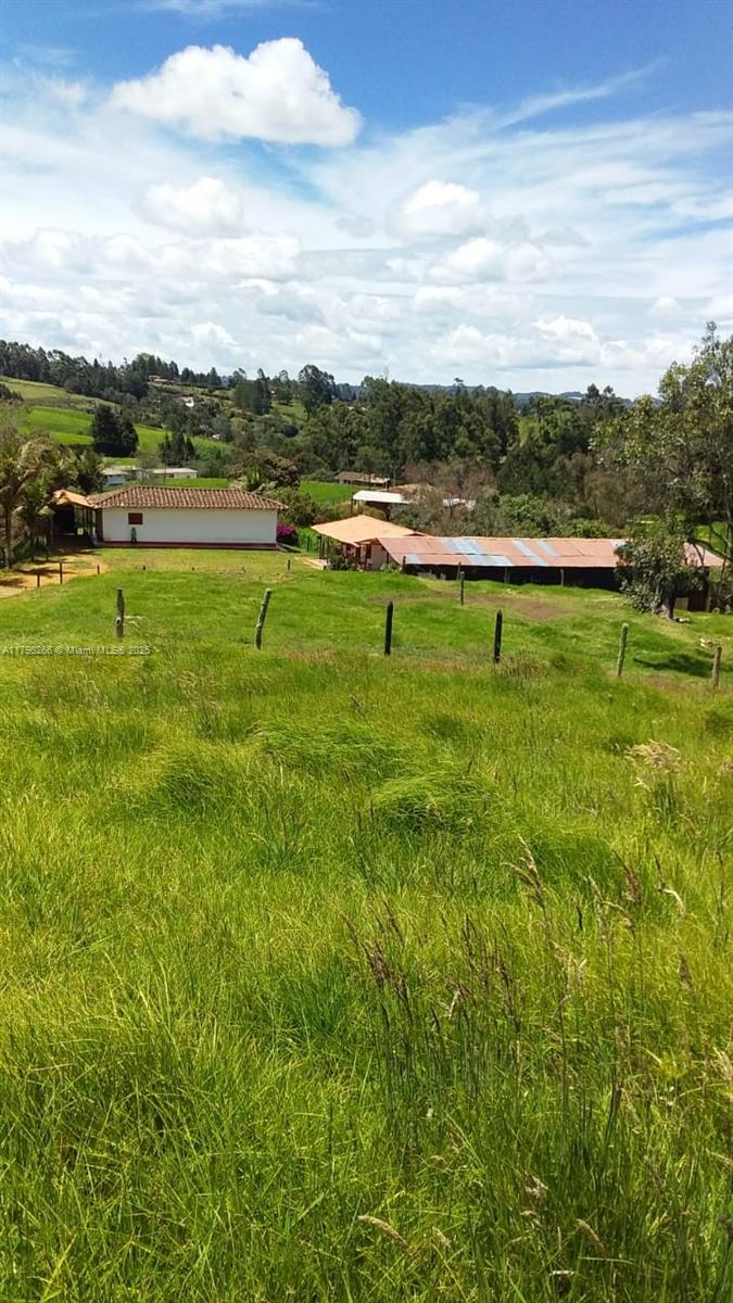 Guarne Vereda Brizuela, Other Country – Not In USA FL 054050 — #A11790266