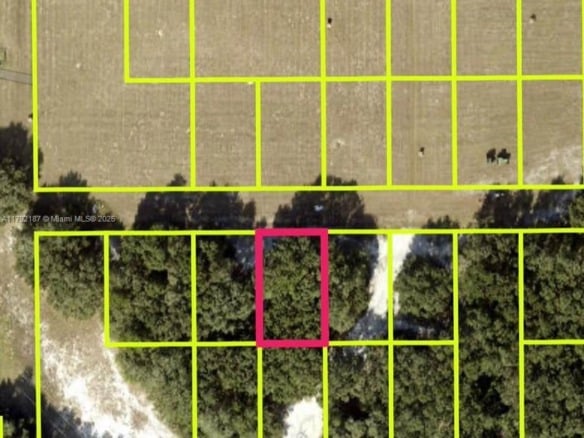 Lady Lake Monterey, Other City – In The State Of Florida FL 32159 — #A11792187