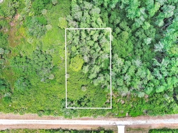 520 Woodman Dr, Lehigh Acres FL 33972 — #A11799815