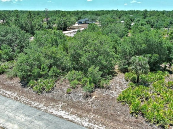 603 FITCH AVE, Lehigh Acres FL 33972 — #A11802458