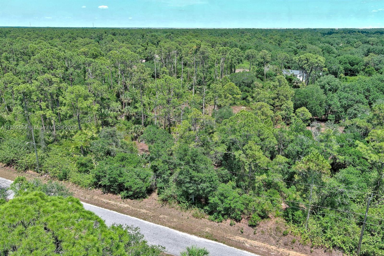 6dd28e9b-5227 1908 MCARTHUR AVE, Lehigh Acres FL 33972 — #A11802599
