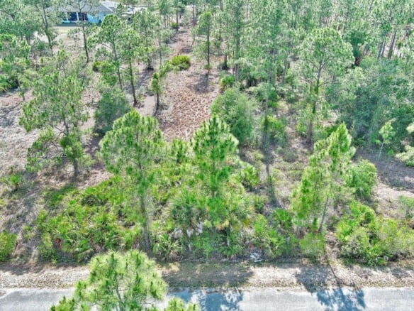 317 Fitch Ave, Lehigh Acres FL 33936 — #A11807893
