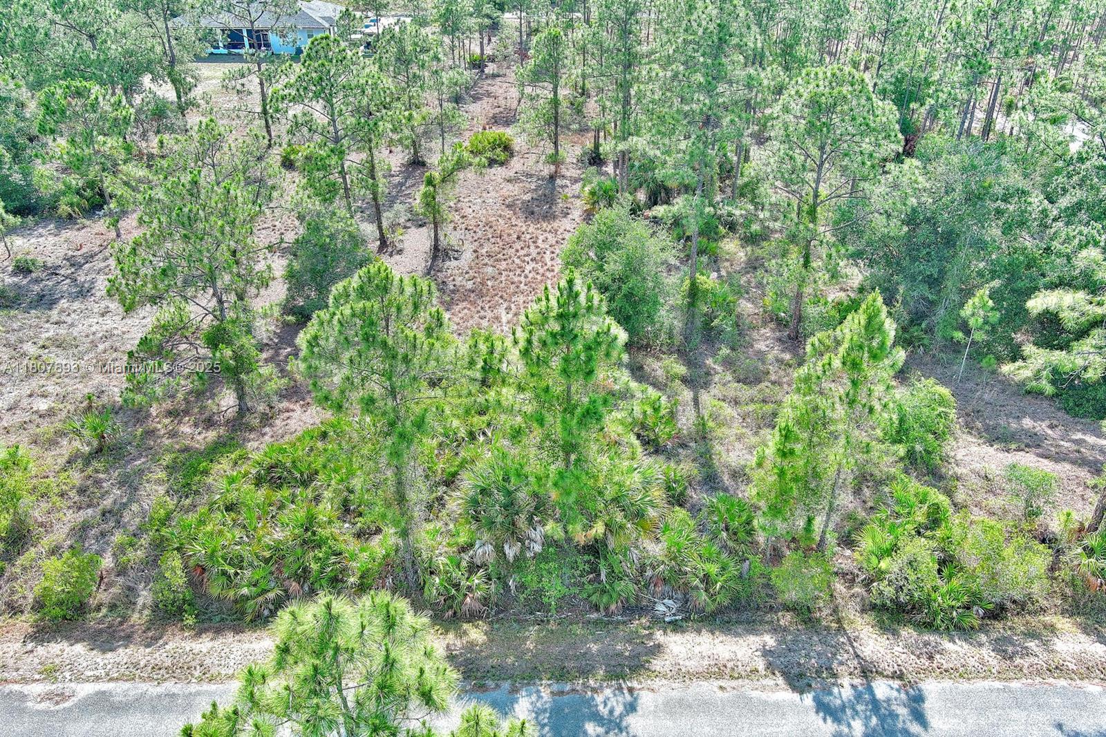 317 Fitch Ave, Lehigh Acres FL 33936 — #A11807893