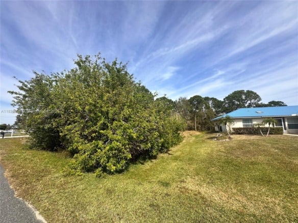 131 Blue Moon Avenue, Lake Placid FL 33852 — #A11825926