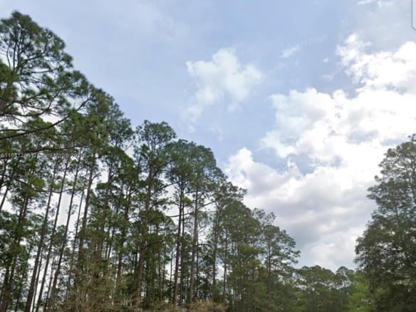 00 Greenley ST, Palatka FL 32148 — #A11841256