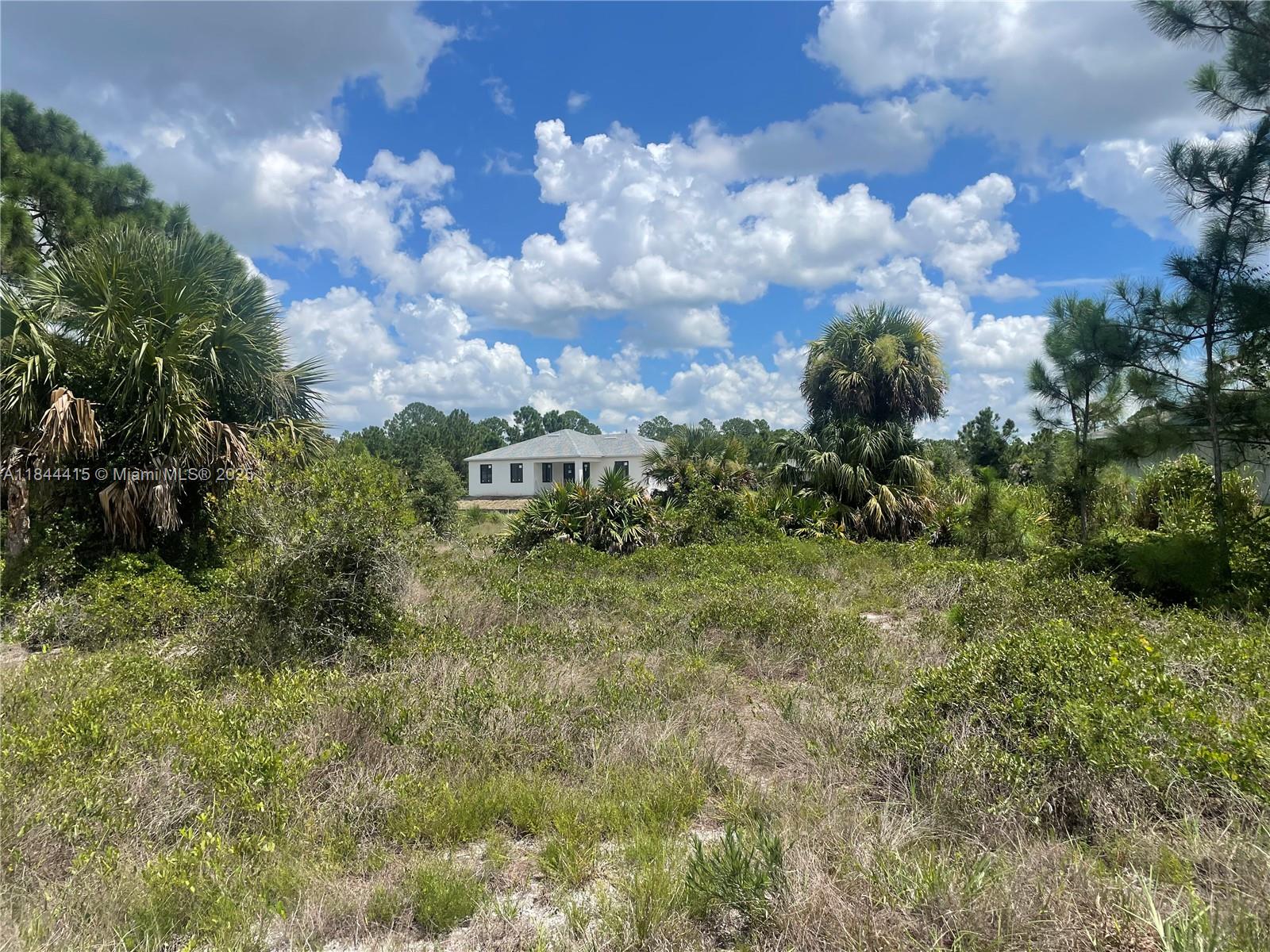 6dd28e9b-6331 655 KNAPP ST, Lehigh Acres FL 33974 — #A11844415