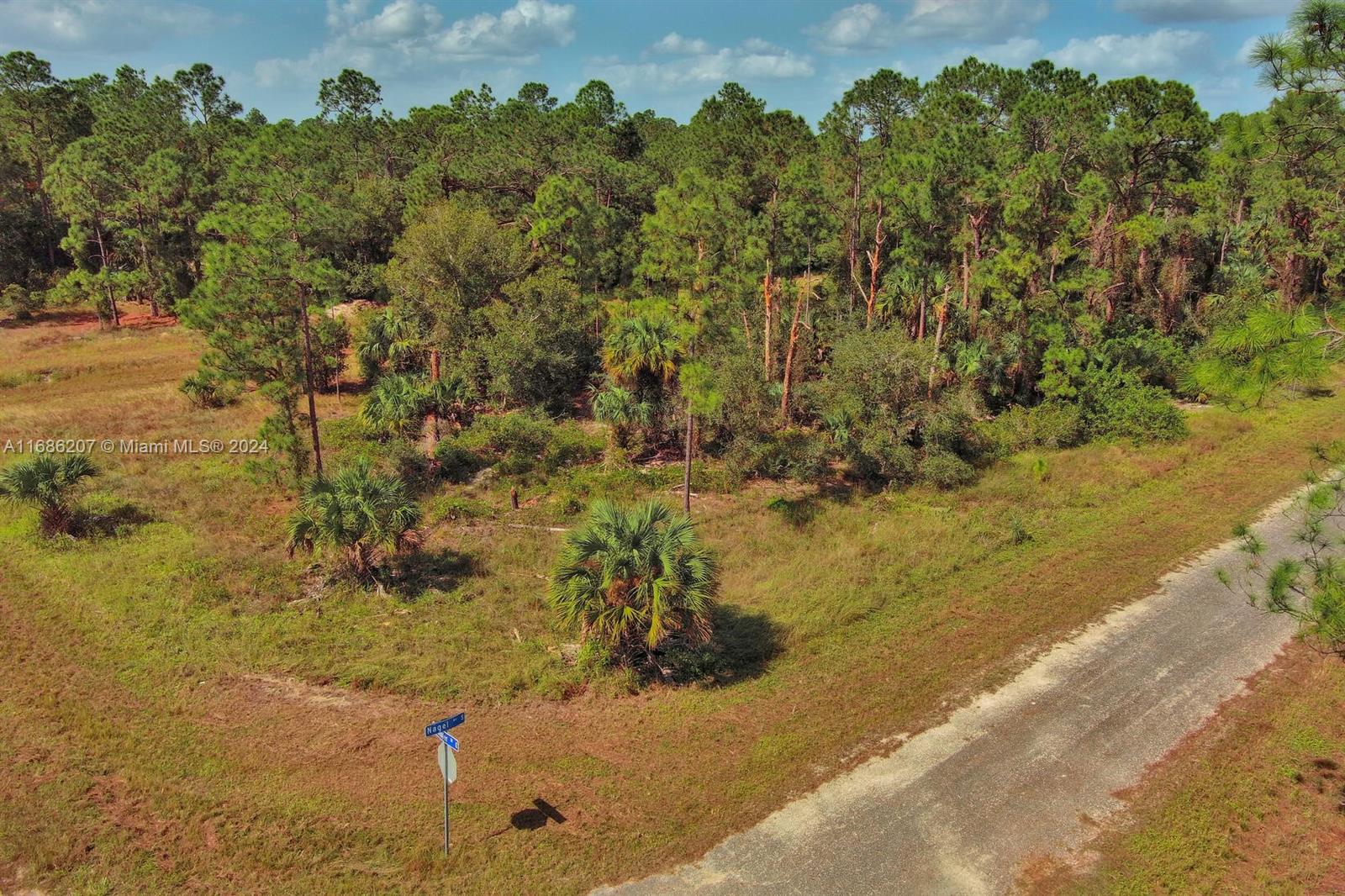 6dd28e9b-643 158 Nagel Ave S, Lehigh Acres FL 33974 — #A11686207