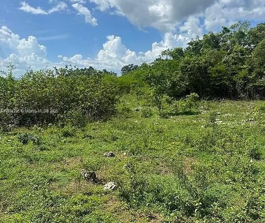 00 RIO NEUVO, ST MARY JAMAICA, NA — #A11871395
