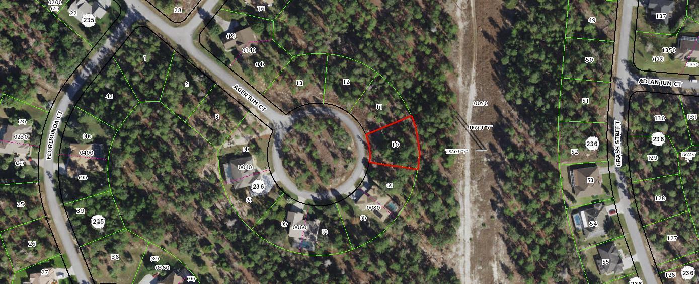 6dd28e9b-7806 29 Ageratum Court, FL 34446 — #R10707684