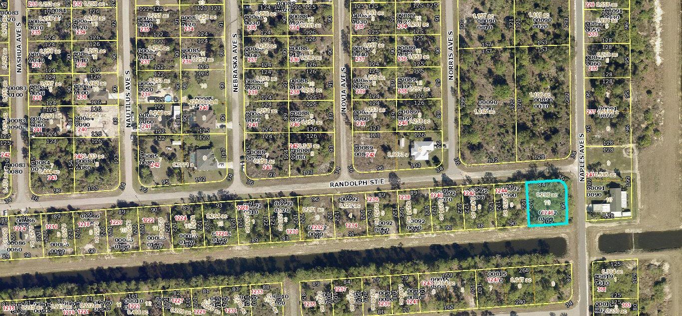 1246 Randolph Street, Lehigh Acres FL 33974 — #R10832825