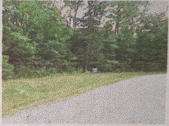 10 Street Place Loop, TN — #F10364070
