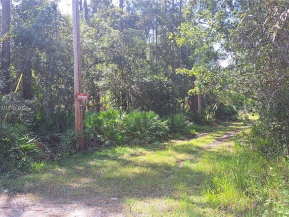 UNDETERMINED NE 42nd ST, Ocala FL 34488 — #A11670157