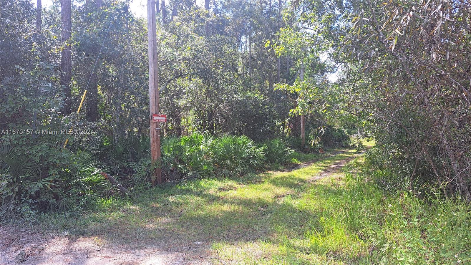 UNDETERMINED NE 42nd ST, Ocala FL 34488 — #A11670157
