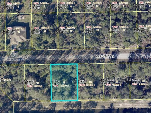 1214 Raphia Street E, Lehigh Acres FL 33974 — #R10901737