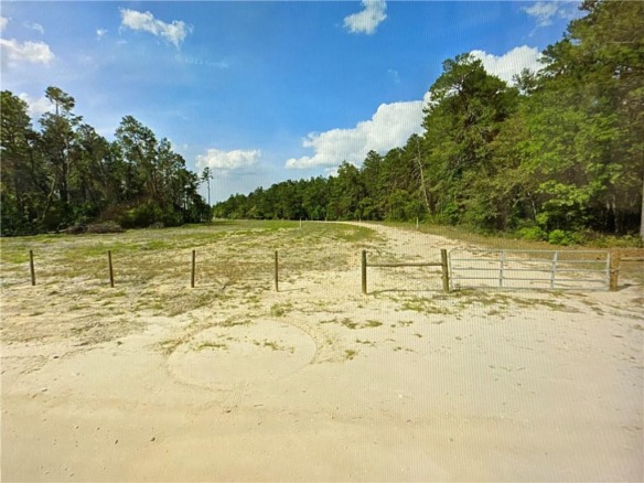 0000 Lone Pine Trail, FL 32666 — #F10389229