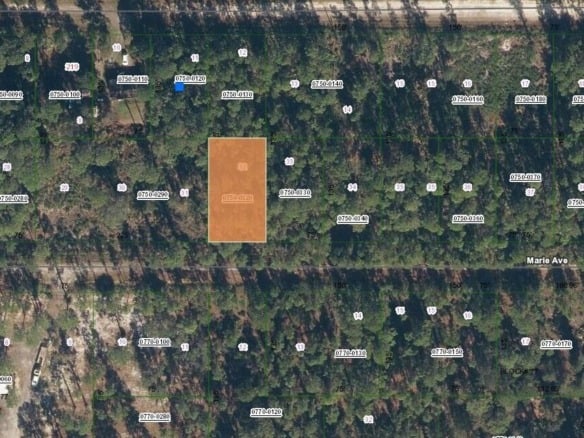 222 Marie Avenue, FL 32139 — #R10989931