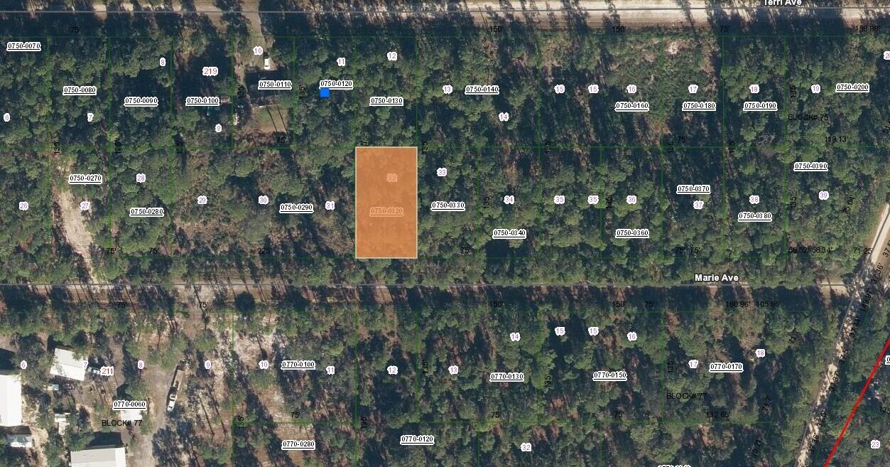 6dd28e9b-8029 222 Marie Avenue, FL 32139 — #R10989931
