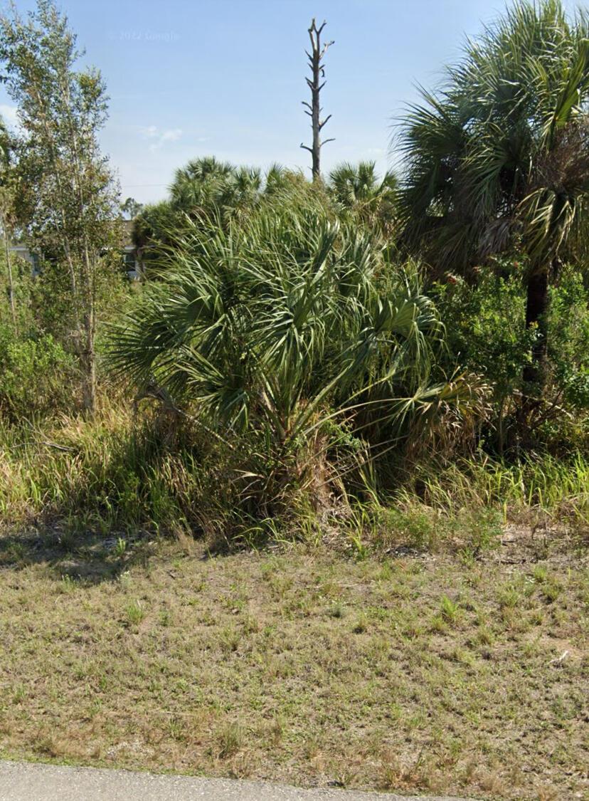 6dd28e9b-8033 2807 W 24th Street W, Lehigh Acres FL 33971 — #R10993396