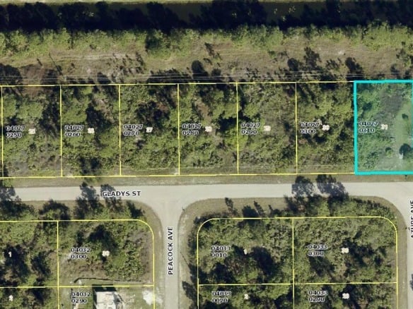 1045 Gladys Street, Lehigh Acres FL 33974 — #R11000041