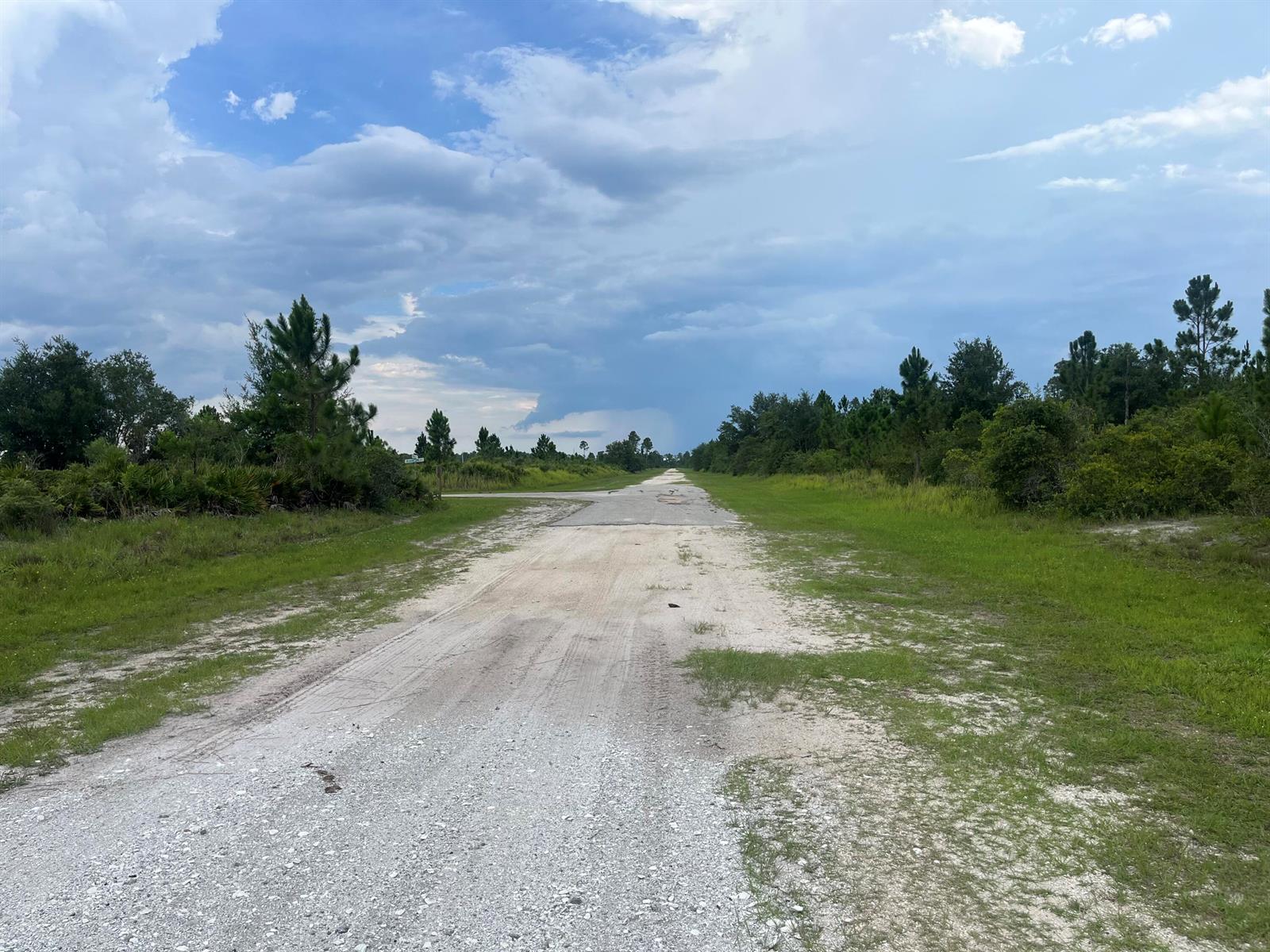 6dd28e9b-8069 0 Pinnata Drive, Lake Wales FL 33898 — #R11003048