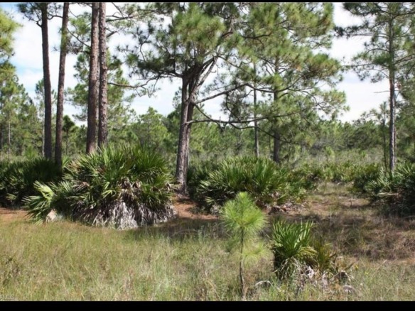 1855 Miller St, FL 33972 — #F10463186