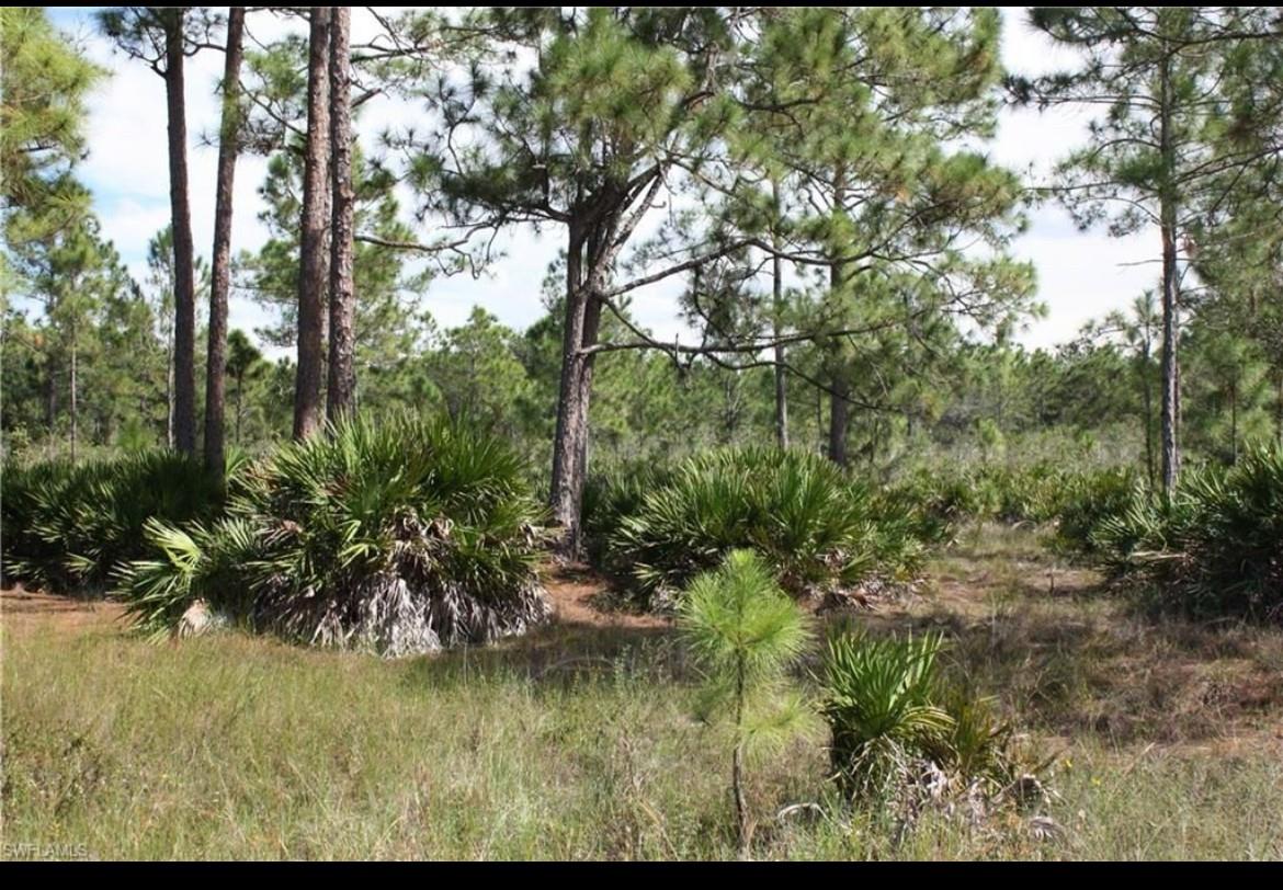 6dd28e9b-8183 1855 Miller St, FL 33972 — #F10463186