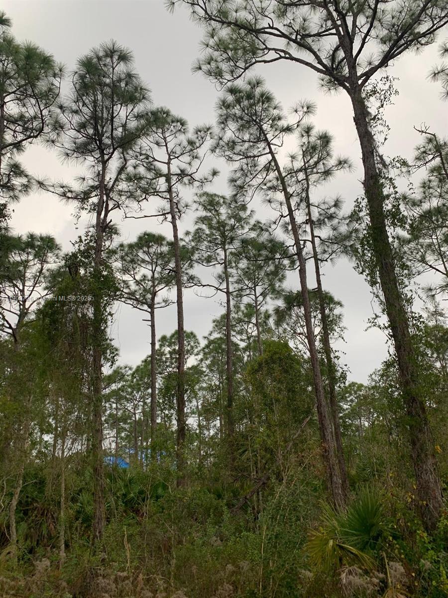 6dd28e9b-821 28338 Calais Ave, Punta Gorda FL 33955 — #A11908726
