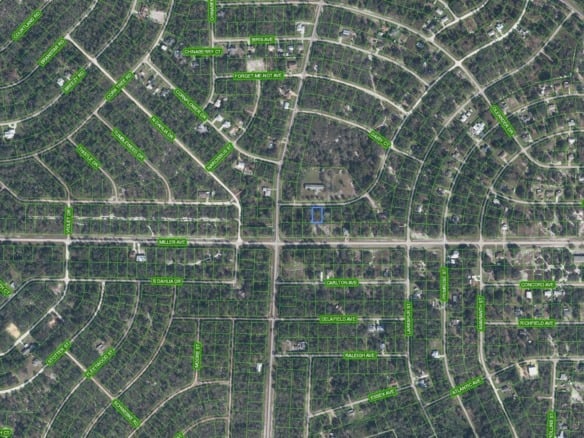 805 Gardenia Street, Lake Placid FL 33852 — #F10468313