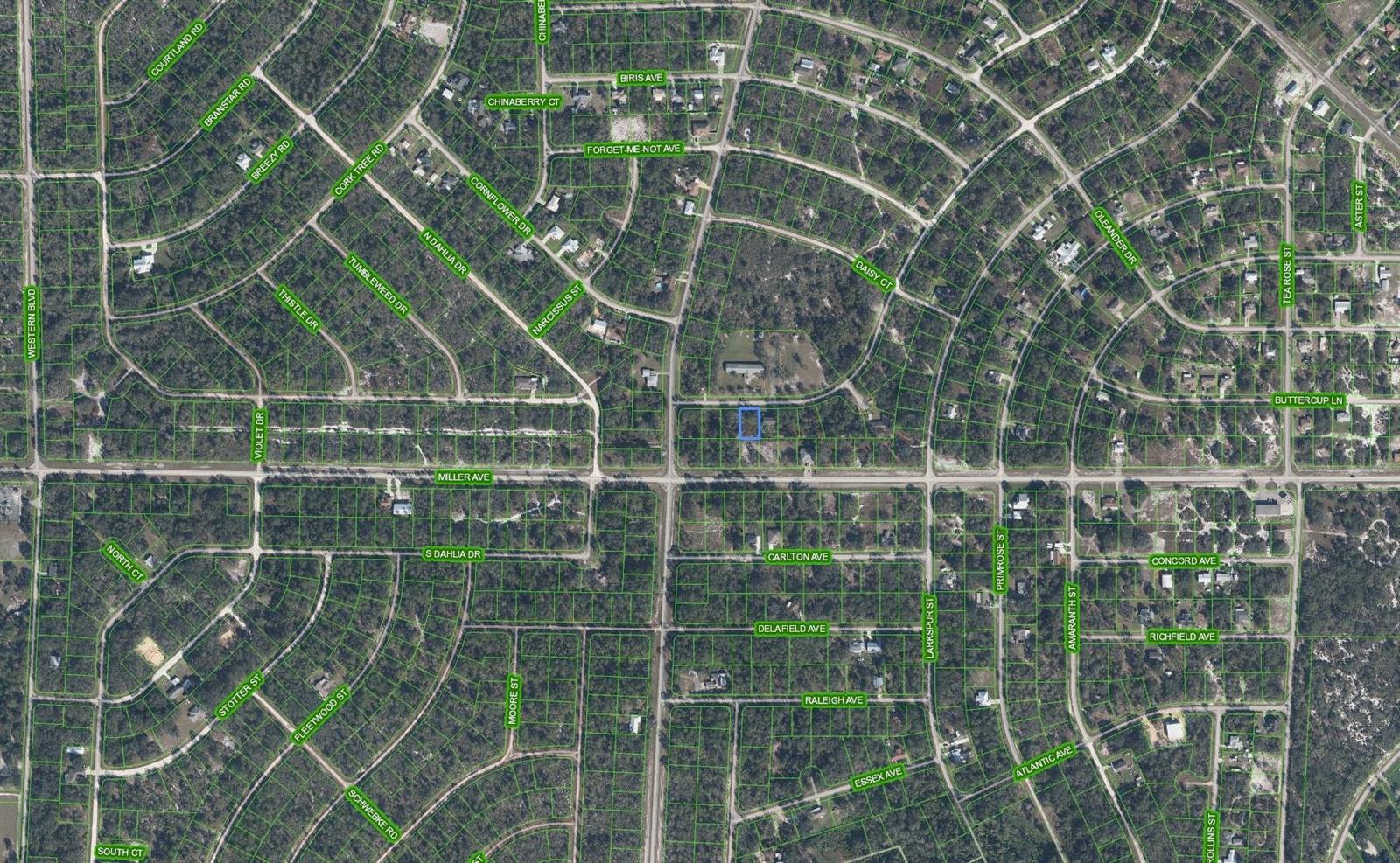 CREATOR: gd-jpeg v1.0 (using IJG JPEG v62), quality = 90 805 Gardenia Street, Lake Placid FL 33852 — #F10468313