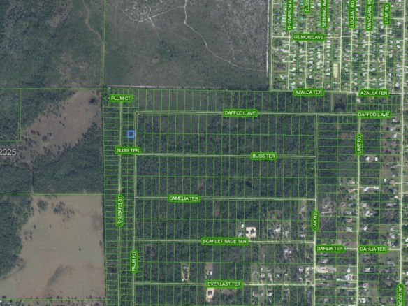 4817 Palm Road, Sebring FL 33875 — #A11909664