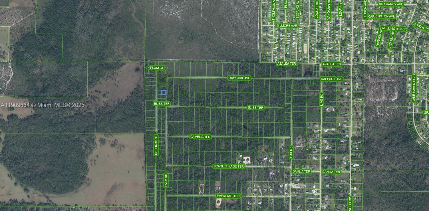 6dd28e9b-857 4817 Palm Road, Sebring FL 33875 — #A11909664