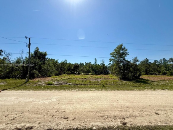0 103rd Ter, Other City – In The State Of Florida FL 32625 — #A11911598