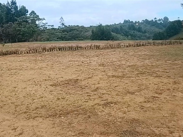 Vereda Mampuesto Sector Garrido #13, C Colombia — #A11911032