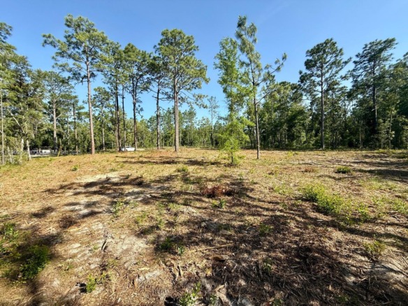 0 NW 157th Ave, Williston FL 32696 — #A11909905