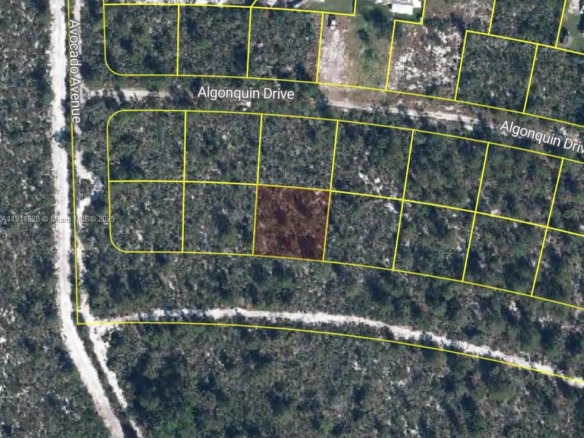 2224 Carla Ave, Sebring FL 33875 — #A11911628