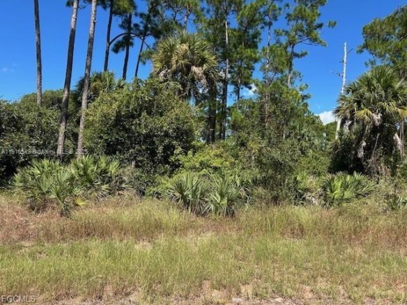 675 NASSAU CIR, La Belle FL 33935 — #A11916549