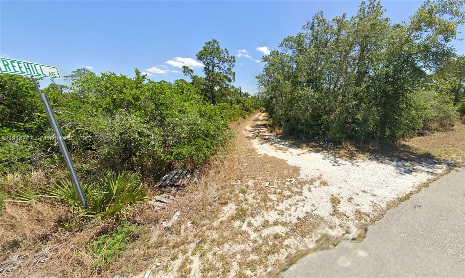 83dcefb7-1298 1027 FREEHILL AVE, Lake Placid FL 33071 — #A11918767