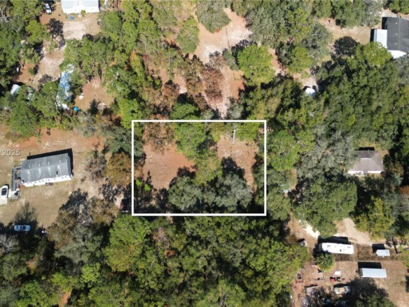 1163 E CANVAS LN, Other City – In The State Of Florida FL 34442 — #A11919198