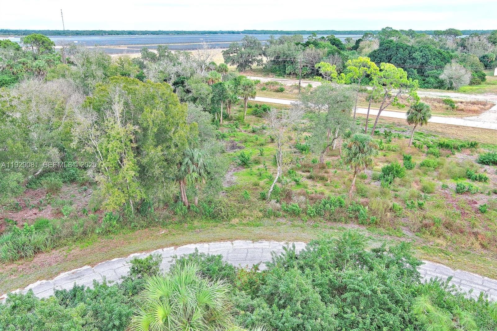 171 CAROUSEL AVE, La Belle FL 33935 — #A11929081