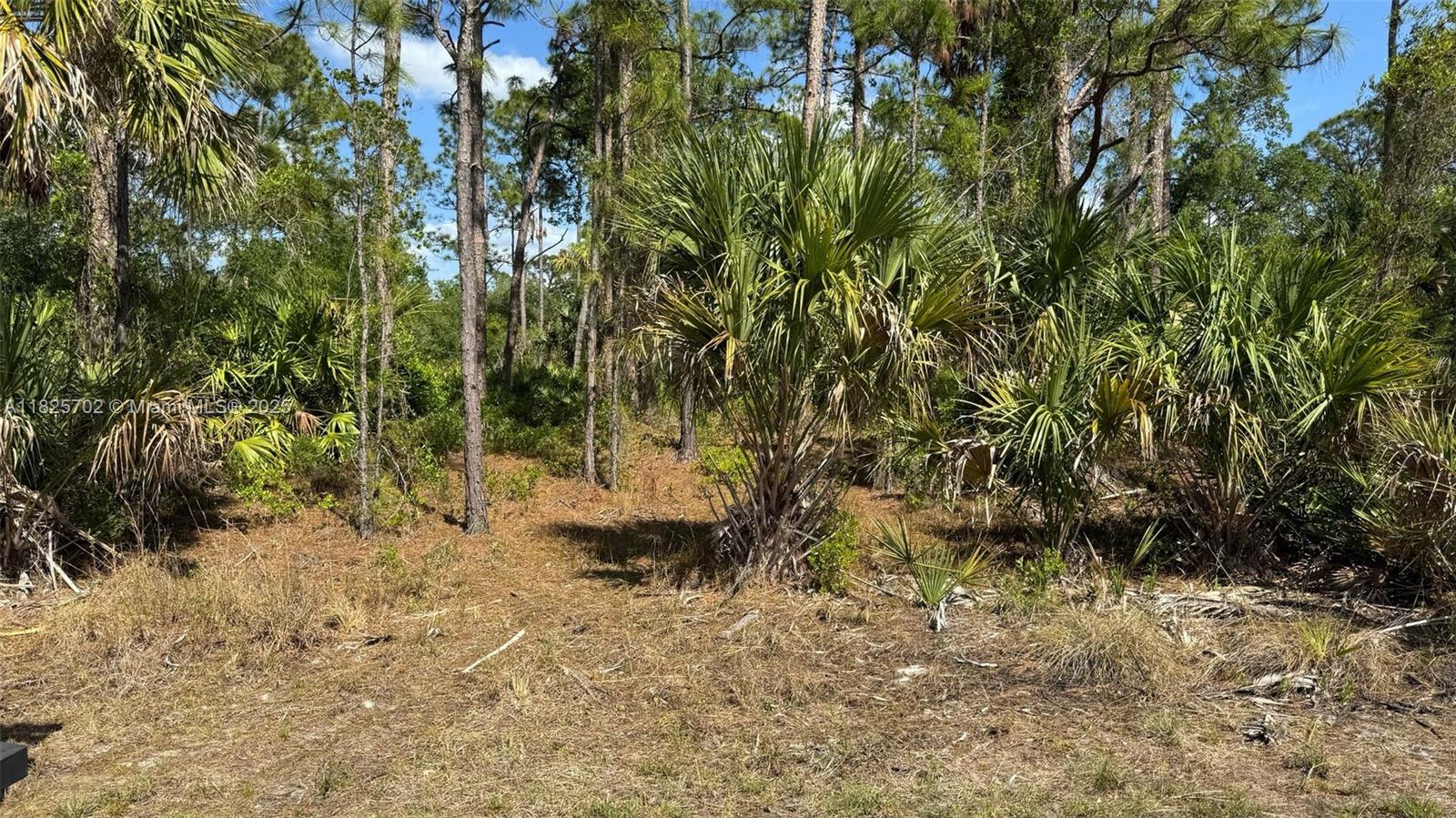 83dcefb7-2098 272 ELLINGTON ST, Port Charlotte FL 33953 — #A11825702