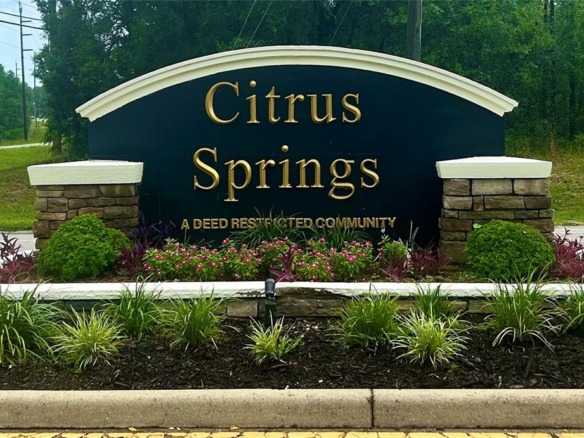 1139 W HAMPSHIRE, Citrus Springs FL 34434 — #A11830921